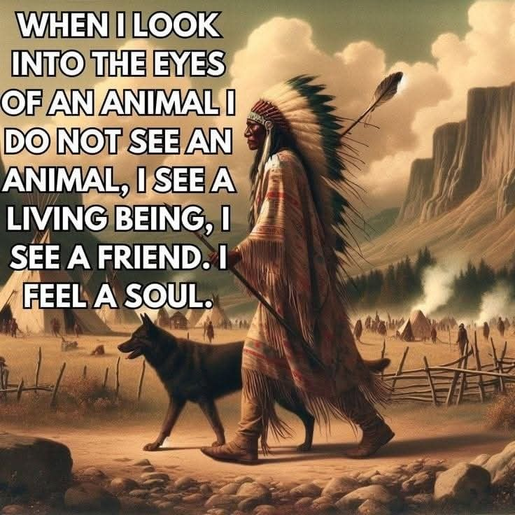 20 Images About Learning Love and Respect from Cherokee Traditions 16 image 655