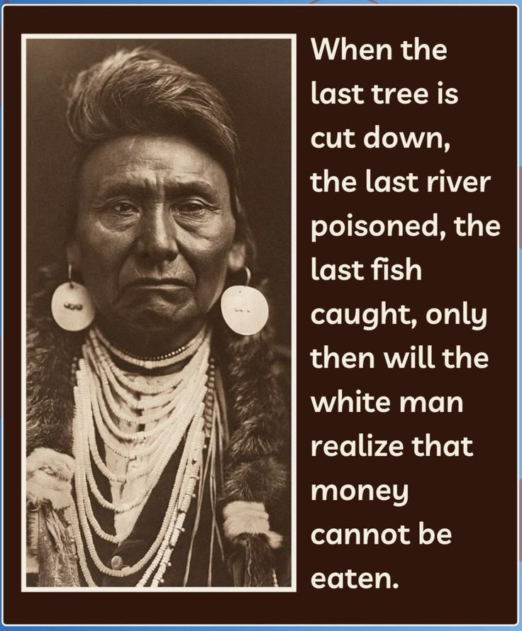 20 Images Based On The Sad Truth Behind the Cherokee Nation’s Displacement 16 image 700