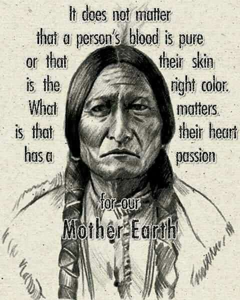 The Sad Story of the Cherokee People Being Forced to Leave Their Homes 7 image 709