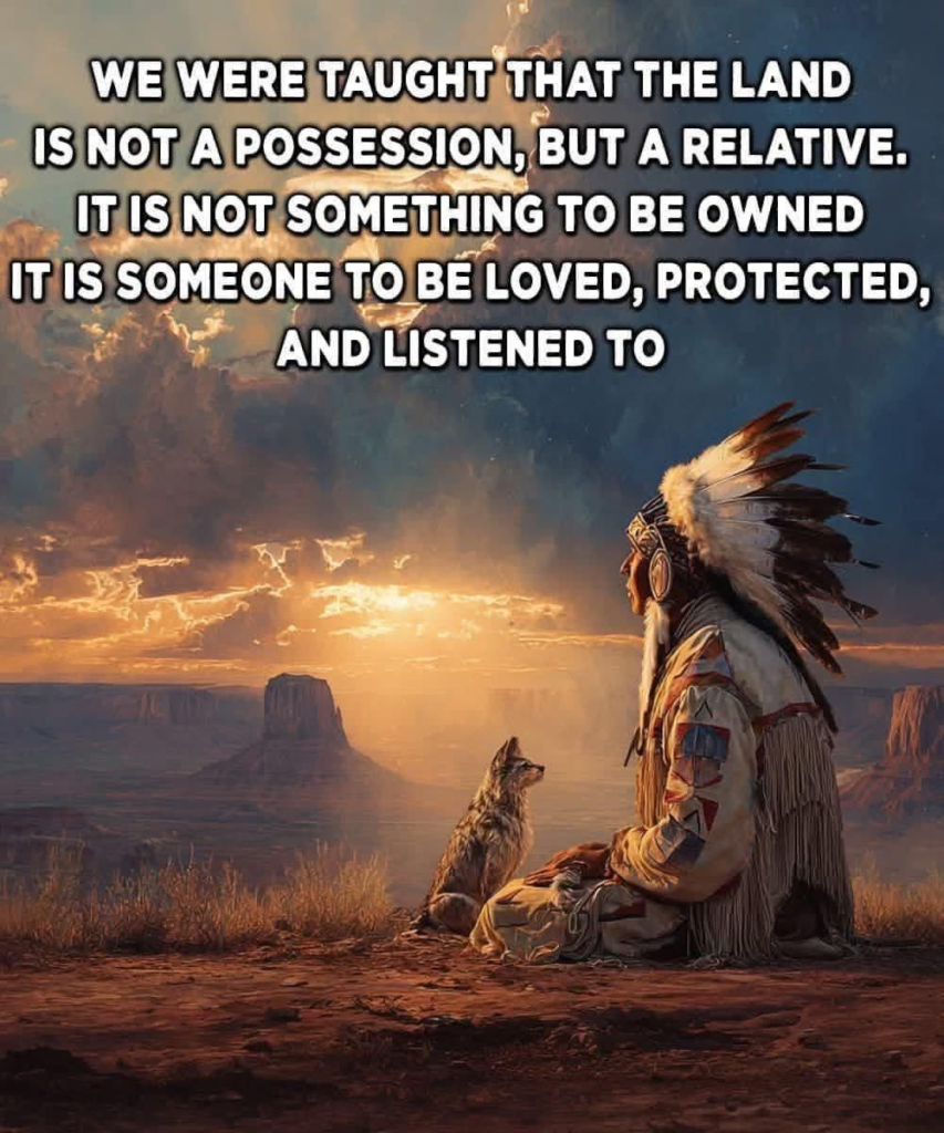 The Sad Story of the Cherokee People Being Forced to Leave Their Homes 9 image 711