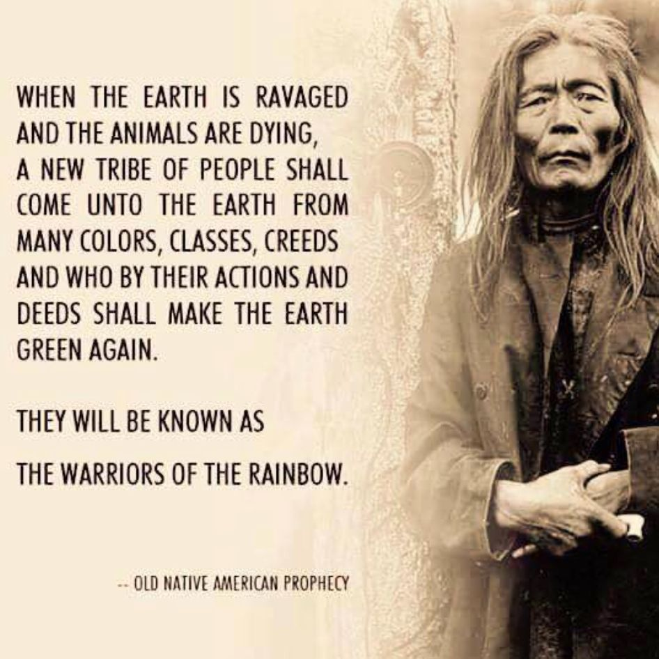 20 Cherokee Leader Sayings That Shows positive message for Everyone 5 image 747