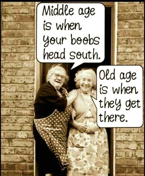 20 Funny Sayings Shows Why Granny’s Simple Words Always Made Everyone Smile 15 image 78
