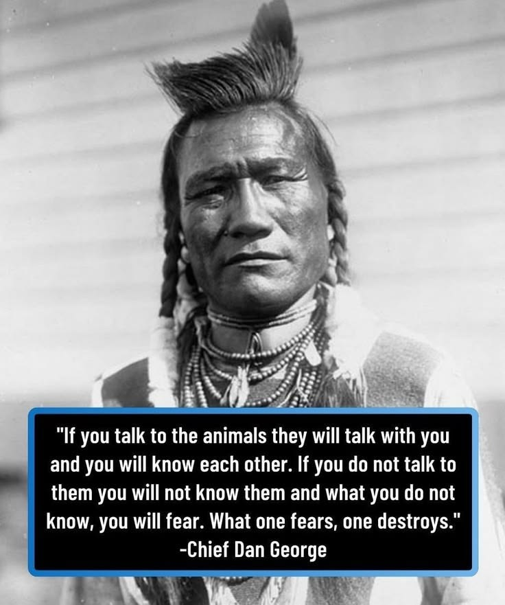 How the Cherokee Nation Built a Lasting Cultural Legacy Is Shown In 20 Images 19 image 781