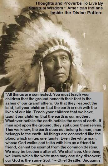 The Cherokee Nation and the Meaning of Tribal Sovereignty Is Shown in 20 Images 2 image 784
