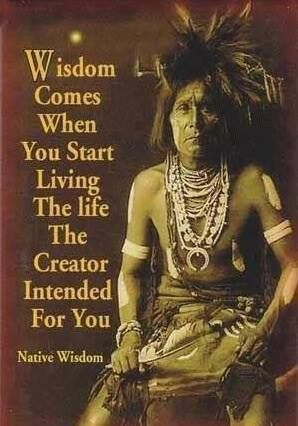 20 Images present The Beauty of Cherokee Nation Traditions And their High Aim 7 image 830