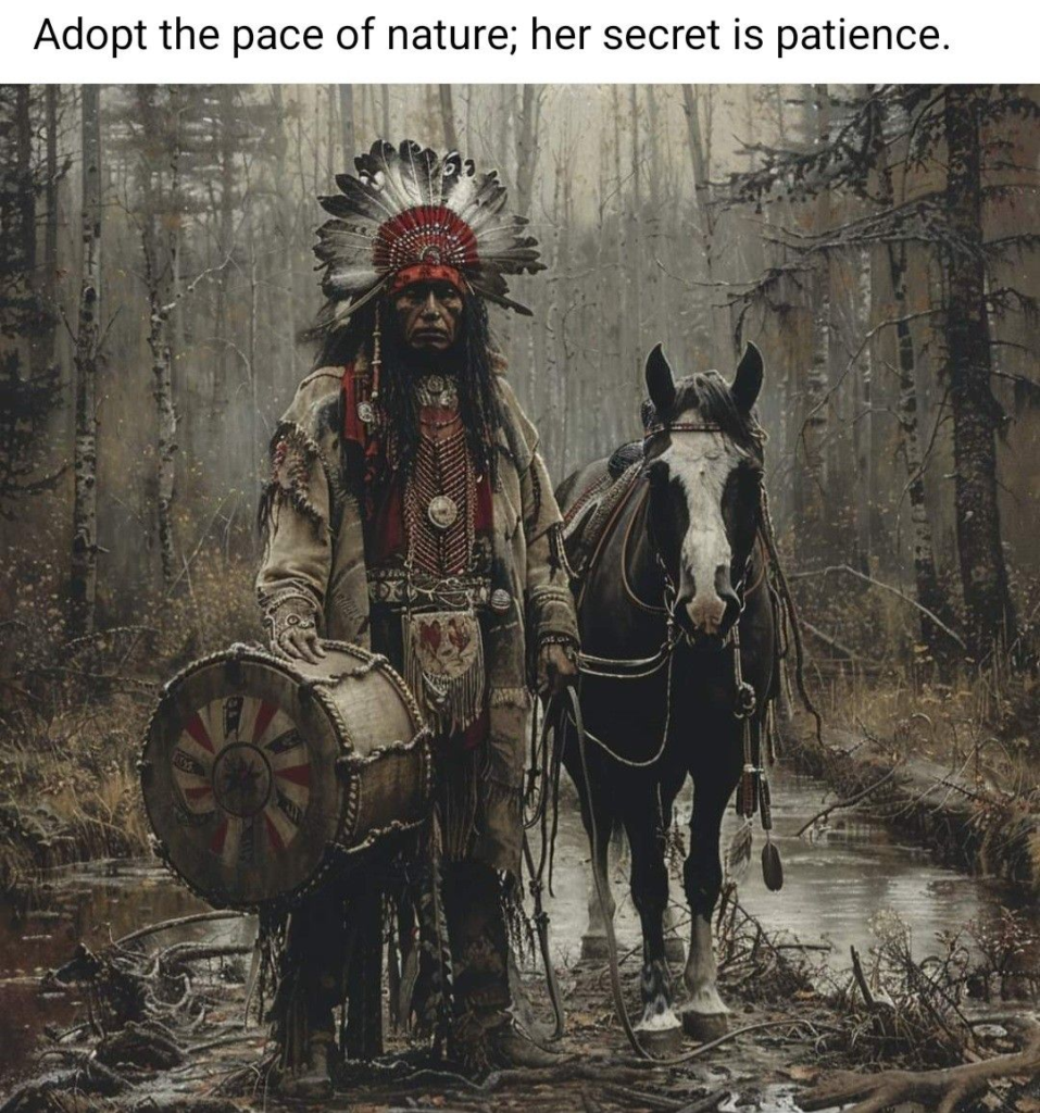 20 Deep Meaning Images About Learning Cherokee Nation Beliefs Make You Feel Good 16 image 969