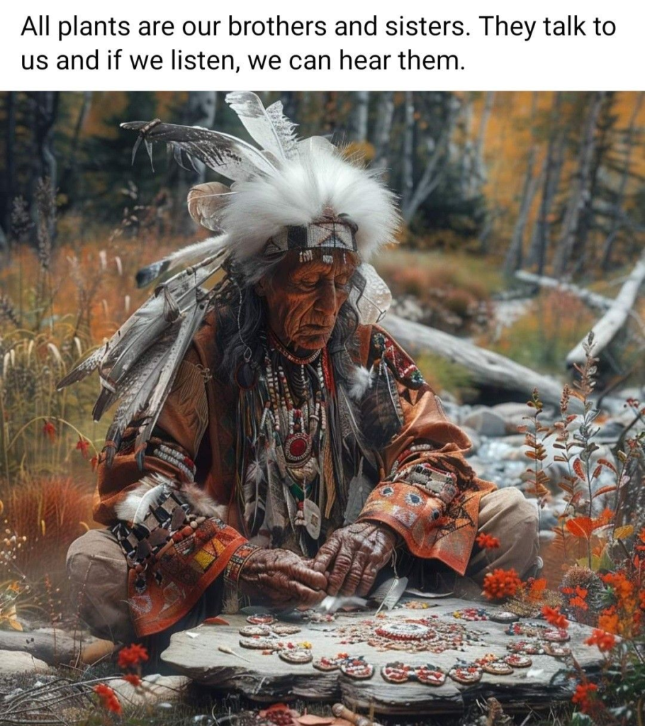 20 Deep Meaning Images About Learning Cherokee Nation Beliefs Make You Feel Good 21 image 974