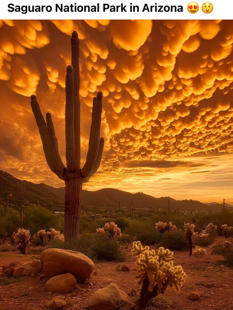 The Ultimate Guide to Arizona’s Desert Wildlife and Native Plants 6 image 141