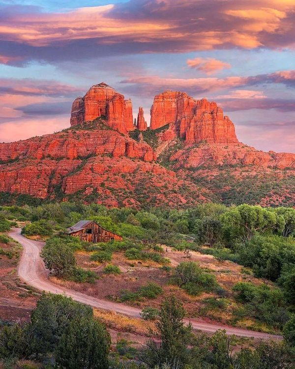 The Ultimate Guide to Arizona’s Desert Wildlife and Native Plants 19 image 157