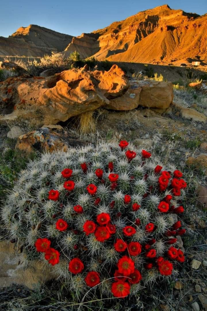 20 Must Visit Attractions in Arizona for First Time Travelers 9 image 167