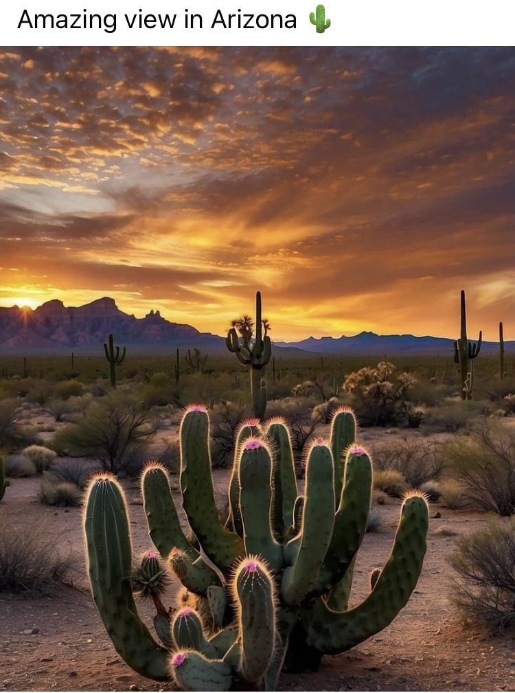 20 Arizona’s Most Important Historic Landmarks That Every Reader must Know 2 image 200