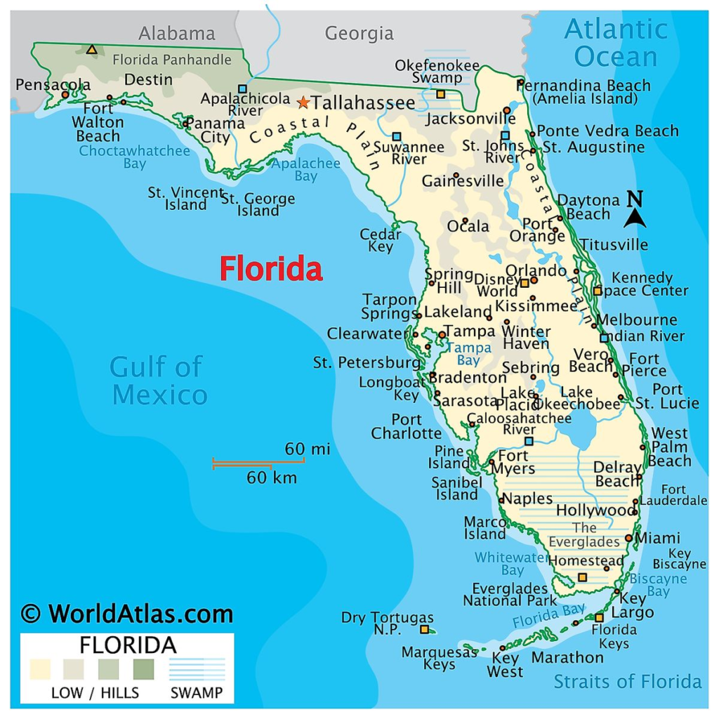 20 Images Shows How Florida Became a United States Territory in 1821 9 image 230