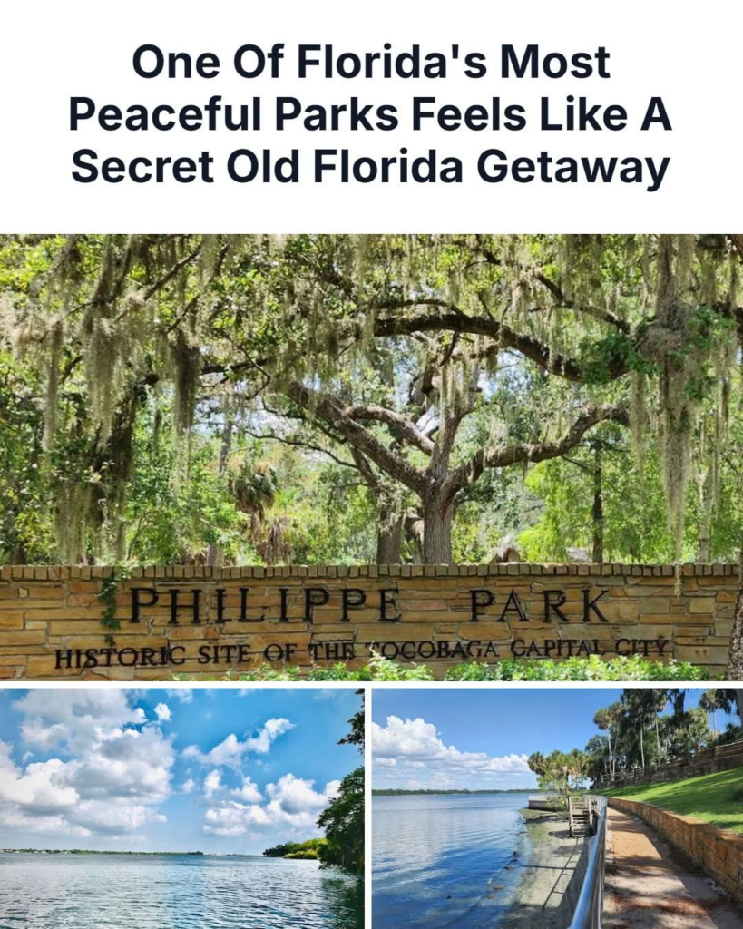 20 Images Shows How Florida Became a United States Territory in 1821 14 image 235