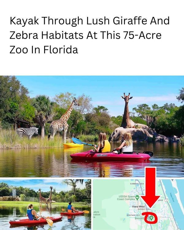 20 Images Shows How Florida Became a United States Territory in 1821 16 image 237