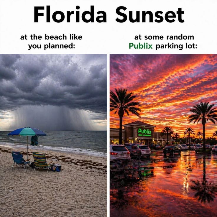 20 Images Shows How Florida Became a United States Territory in 1821 18 image 239