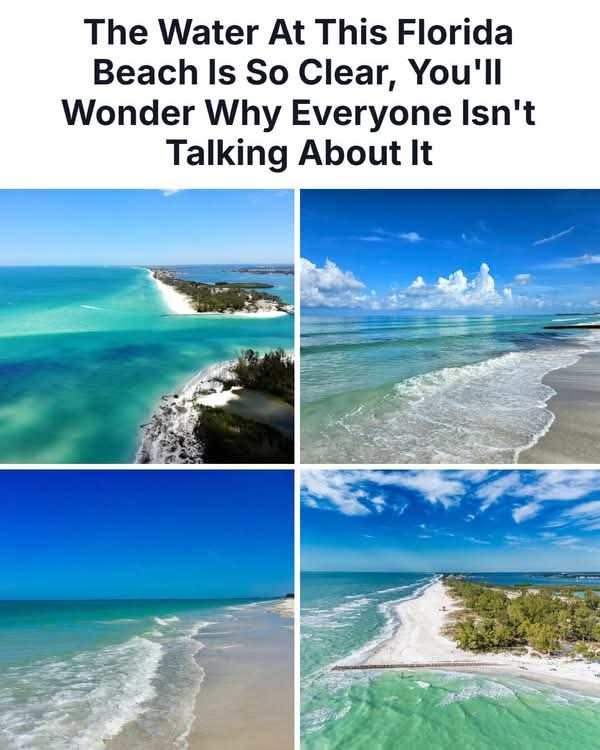 20 Images Shows How Florida Became a United States Territory in 1821 19 image 240