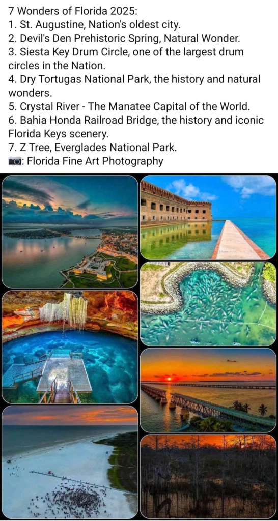 20 Historic Images That Show How Florida Has Changed Over Time 2 image 243