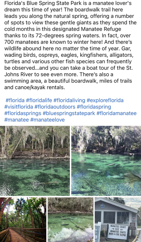 20 Historic Images That Show How Florida Has Changed Over Time 3 image 244