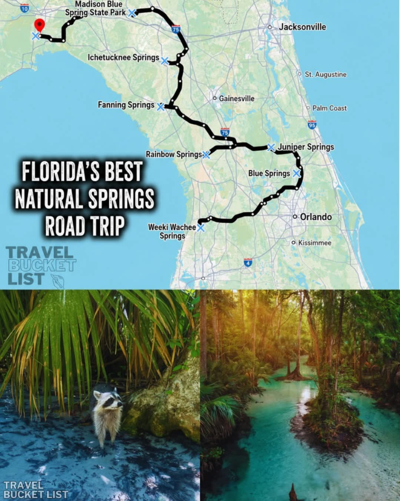 20 Historic Images That Show How Florida Has Changed Over Time 6 image 247
