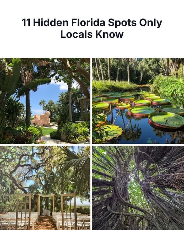 20 Historic Images That Show How Florida Has Changed Over Time 7 image 248