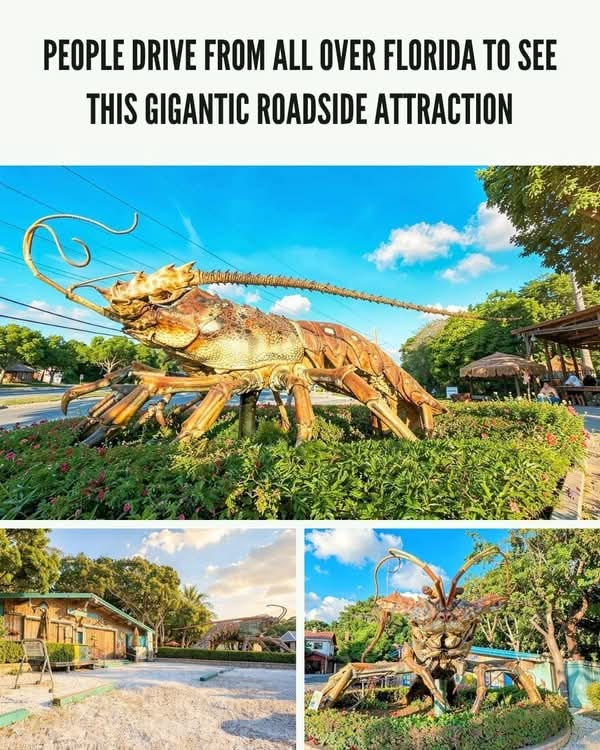 20 Historic Images That Show How Florida Has Changed Over Time 10 image 251