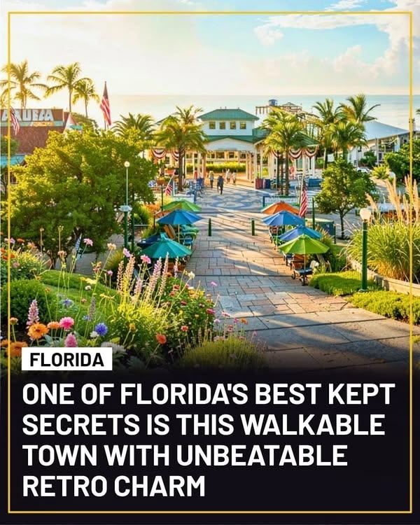 20 Historic Images That Show How Florida Has Changed Over Time 12 image 253
