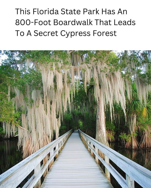 20 Historic Images That Show How Florida Has Changed Over Time 13 image 254
