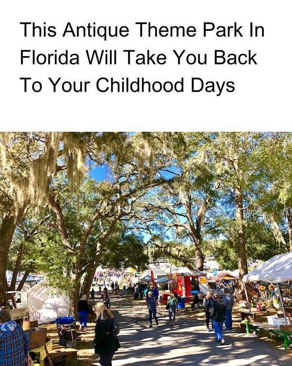 20 Historic Images That Show How Florida Has Changed Over Time 14 image 255