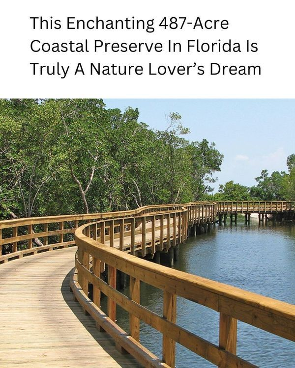 20 Historic Images That Show How Florida Has Changed Over Time 15 image 256