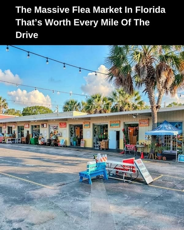 20 Historic Images That Show How Florida Has Changed Over Time 18 image 259