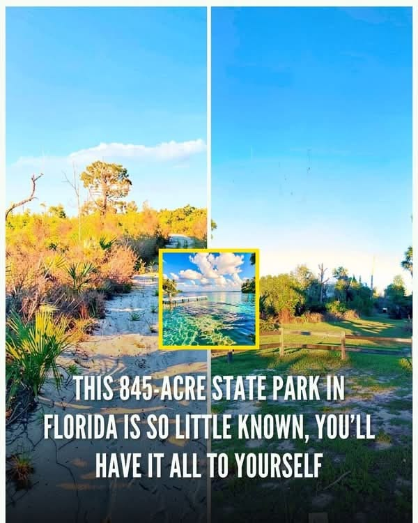 20 Historic Images That Show How Florida Has Changed Over Time 20 image 260