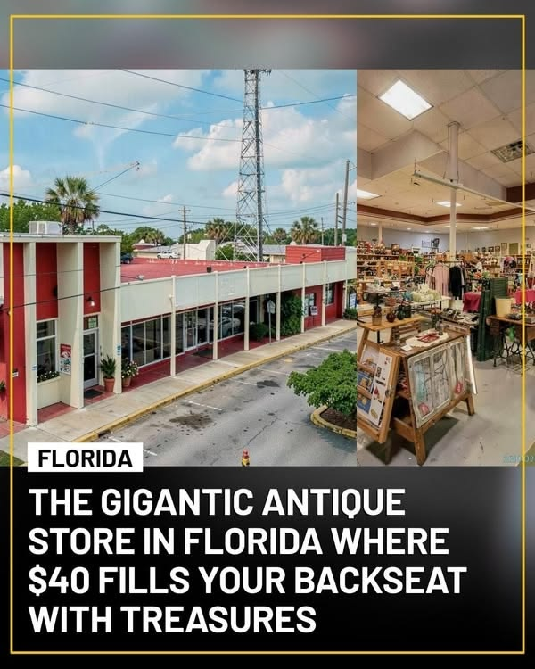 20 Historic Images That Show How Florida Has Changed Over Time 19 image 261