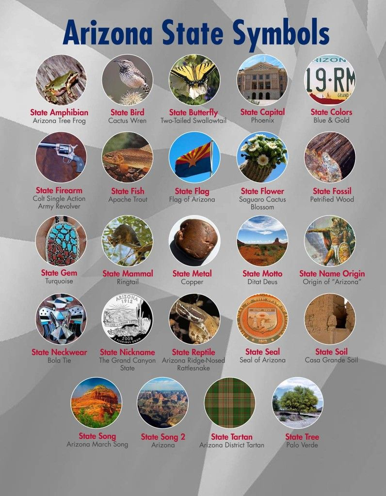 This Blog Presents Interesting Facts About Arizona And Exploring Its Culture 3 image 29