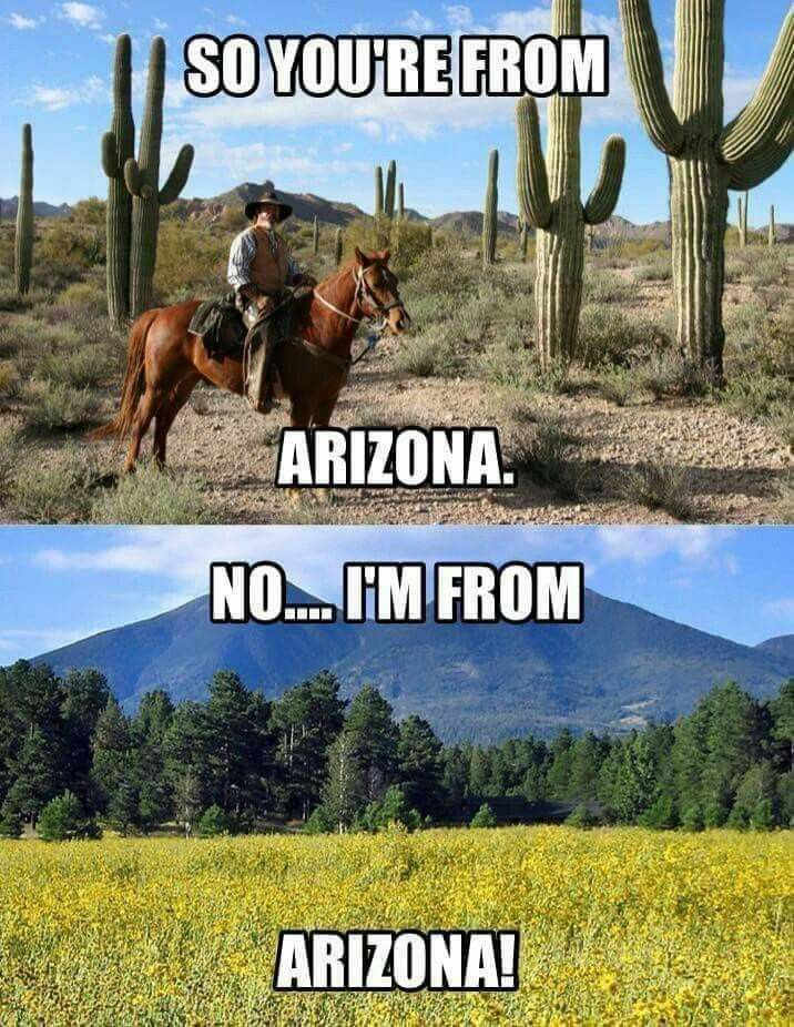 This Blog Presents Interesting Facts About Arizona And Exploring Its Culture 6 image 32