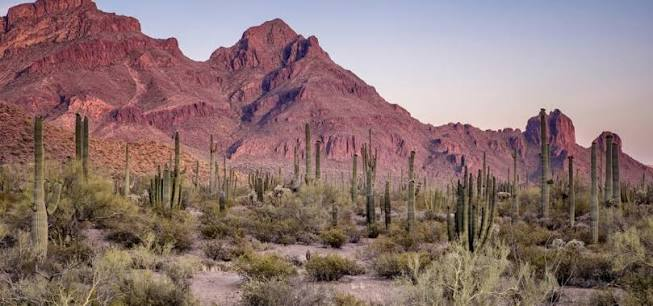 This Article Explore Arizona’s Historic Ghost Towns and the Stories They Tell 3 image 49