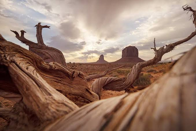 20 Images Shows The Arizona History And Native American Tribes in Arizona 3 image 9
