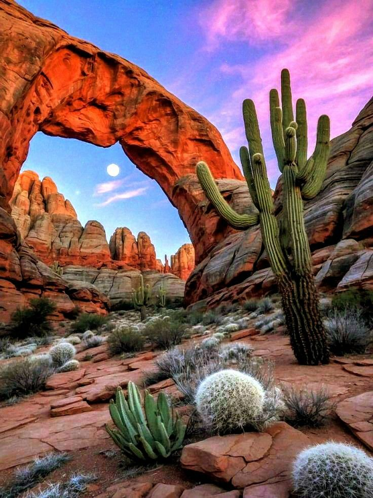 20 Images Shows the History and Struggles for the Arizona Frontier 4 image 92