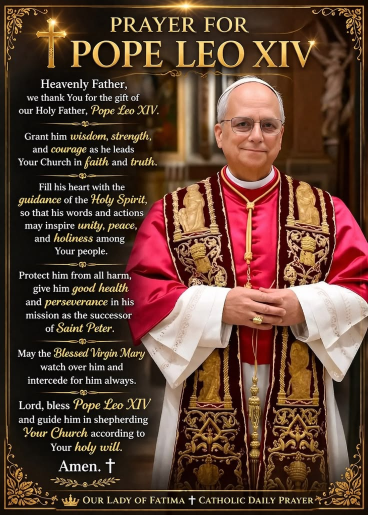 20 Hidden Facts About Pope Leo XIV Most Catholics Never Knew 2 image 1
