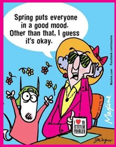 20 Hilarious Maxine Quotes That Perfectly Describe Everyday Life 19 image 105