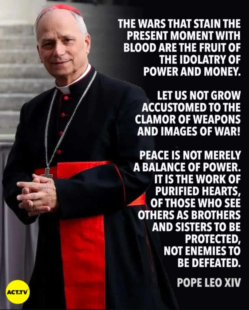 20 Hidden Facts About Pope Leo XIV Most Catholics Never Knew 4 image 4