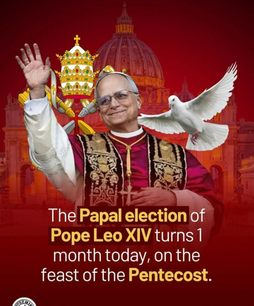 Saints Who Inspired Pope Leo XIV and Changed History Through Faith 17 image 81