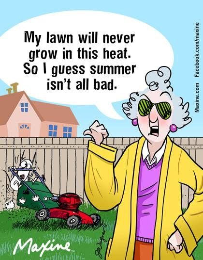 20 Maxine’s Rules for Enjoying and Surviving Old Age With Humor 3 image 96