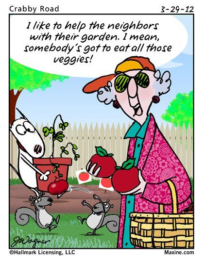 20 Hilarious Maxine Quotes That Perfectly Describe Everyday Life 11 image 97